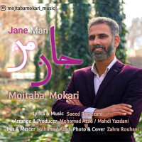 Mojtaba Mokari - Jane Man