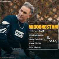 Parviz Paliz - Midoonestam