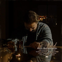 Amin Mahmoudian - Ta Abad