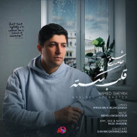 Hamed Sheykh - Ghalbe Shekasteh