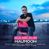 Haumoon - Vasat Mire Delam