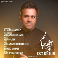 Reza Bolouri - Arame Janam