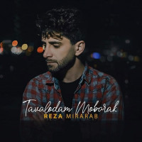 Reza Mirarab - Tavallodam Mobarak