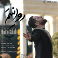 Shahin Sahebi - Ravanitam