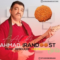 Ahmad Irandoost - Falafel