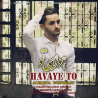 Alireza Tohidast - Havaye To