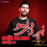 Amir Ehsas - Bordi Delamo