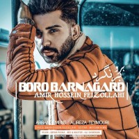 Amir Hossein Feizollahi - Boro Barnagard