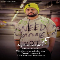 Aydin Majidi - Telu