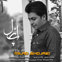 Milad Shojaei - Puzzle