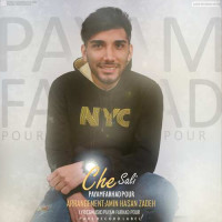 Payam Farhadpour - Che Sali
