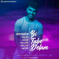 Saeid Ghasemi - Bi Tabe Delam