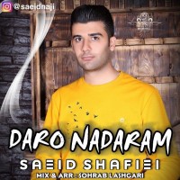 Saeid Shafiei - Daro Nadaram