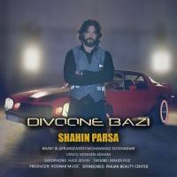 Shahin Parsa - Divoone Bazi