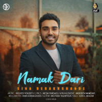 Sina Derakhshande - Namak Dari