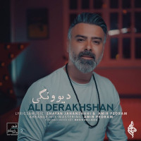 Ali Derakhshan - Divoonegi