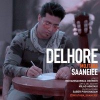 Mojtaba Saneiee - Delhore