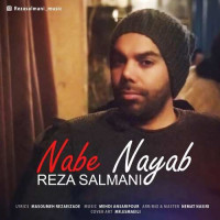 Reza Salmani - Nabe Nayab