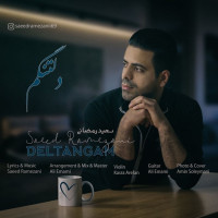 Saeed Ramezani - Deltangam