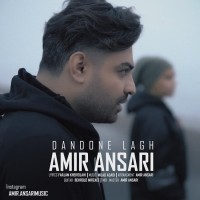 Amir Ansari - Dandoone Lagh