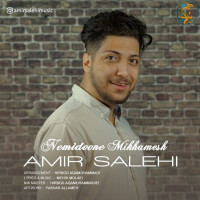 Amir Salehi - Nemidoone Mikhamesh