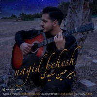 Amirhossein Saeedi - Nagid Behesh
