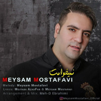 Meysam Mostafavi - Nemikhamet