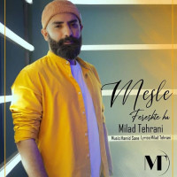 Milad Tehrani - Mesle Fereshteha