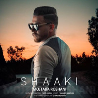 Mojtaba Roshani - Shaaki