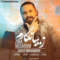 Saeid Mohaghegh - Ziba Negarom