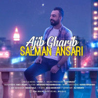 Salman Ansari - Ajib Gharib