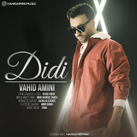 Vahid Amini - Didi