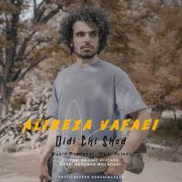 Alireza Vafaei - Didi Chi Shod
