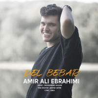 Amirali Ebrahimi - Del Bebar