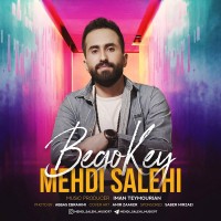 Mehdi Salehi - Begoo Key
