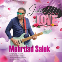 Mehrdad Salek - Just To Love