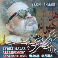 Yasin Ahmadi - Dele Divaneh