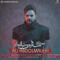Ali Abdolmaleki - Setareye Donbaleh Dar