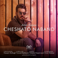 Amin Fayyaz - Cheshato Naband