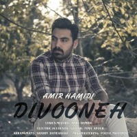 Amir Hamidi - Divooneh