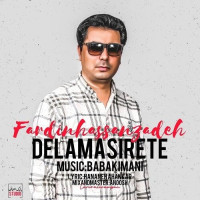 Fardin Hasanzadeh - Delam Asirete