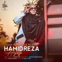 Hamidreza Hejazi - Delam Barat Tang Mishe