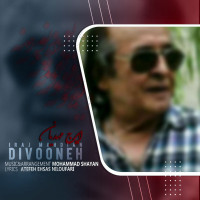 Iraj Mahdian - Divooneh