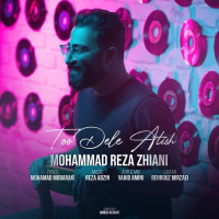 Mohammadreza Zhiani - Too Dele Atish