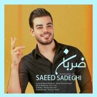 Saeed Sadeghi - Zaraban