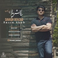 Savash Behzad - Hesse Khoob