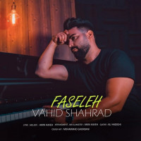 Vahid Shahrad - Faseleh