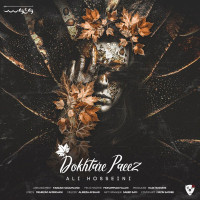 Ali Hosseini - Dokhtare Paeiz