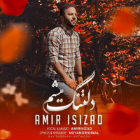 Amir Isizad - Deltanget Misham