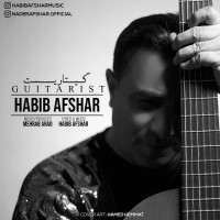 Habib Afshar - Guitarist